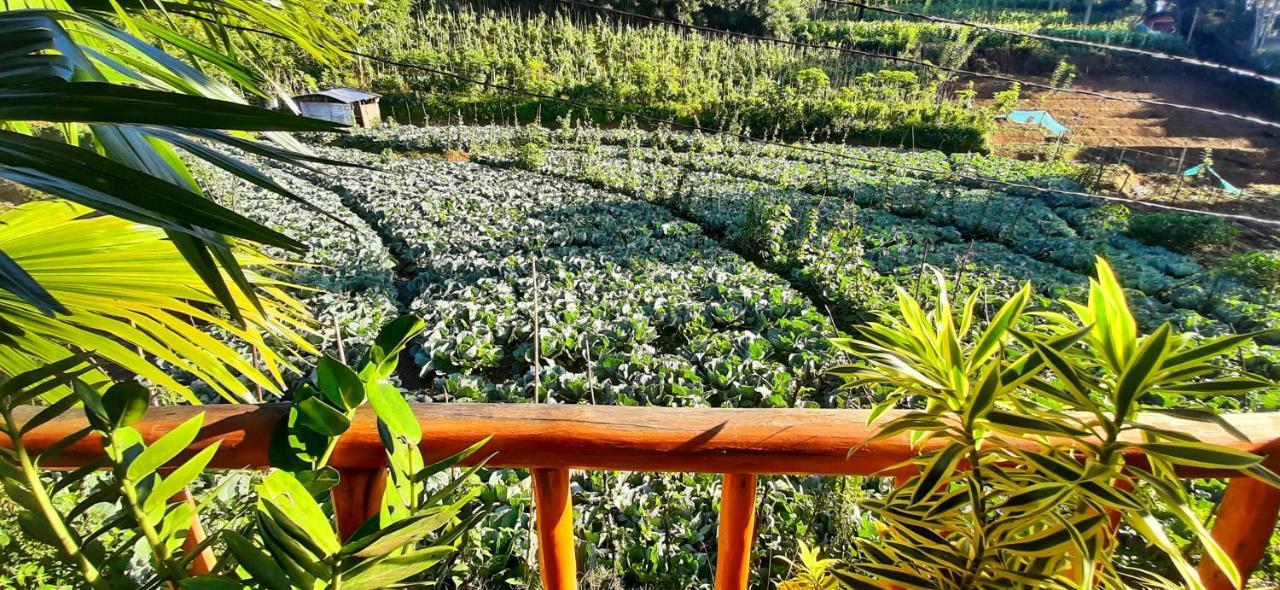 Serenity Homestay Ella Exterior photo